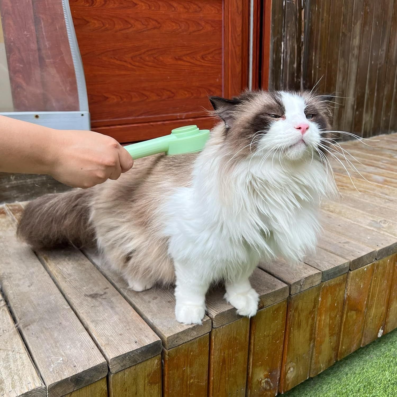 Pet Care